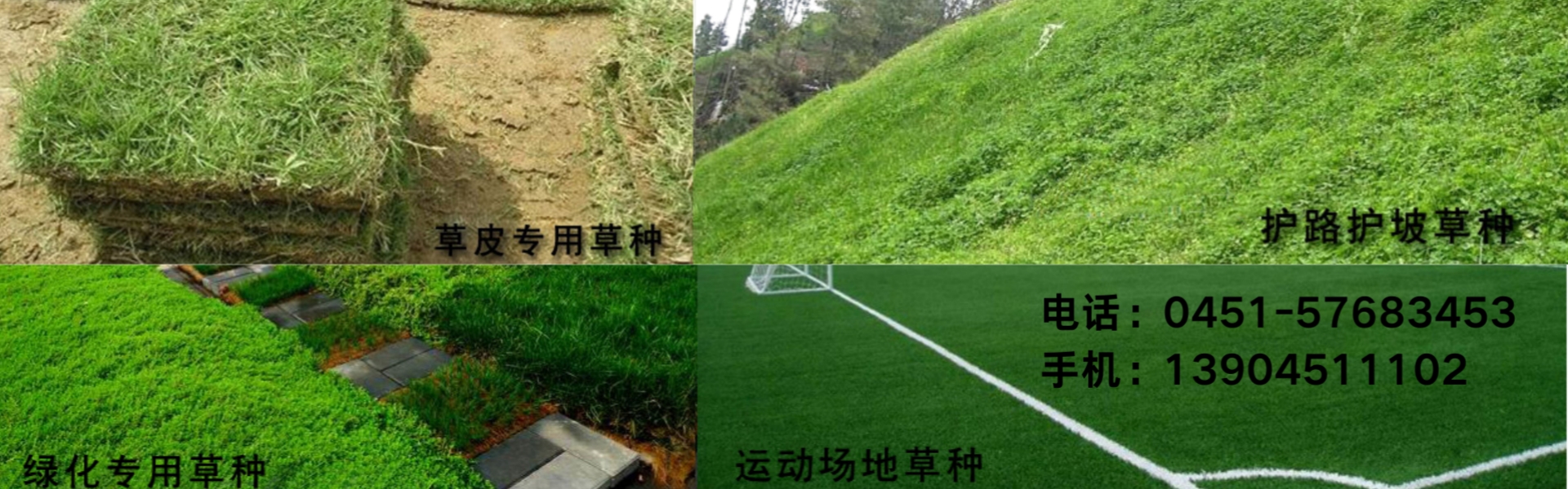 精品久久久久一区二区三区