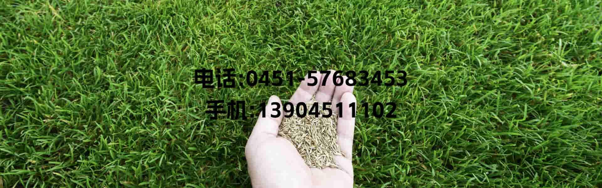 精品久久久久一区二区三区