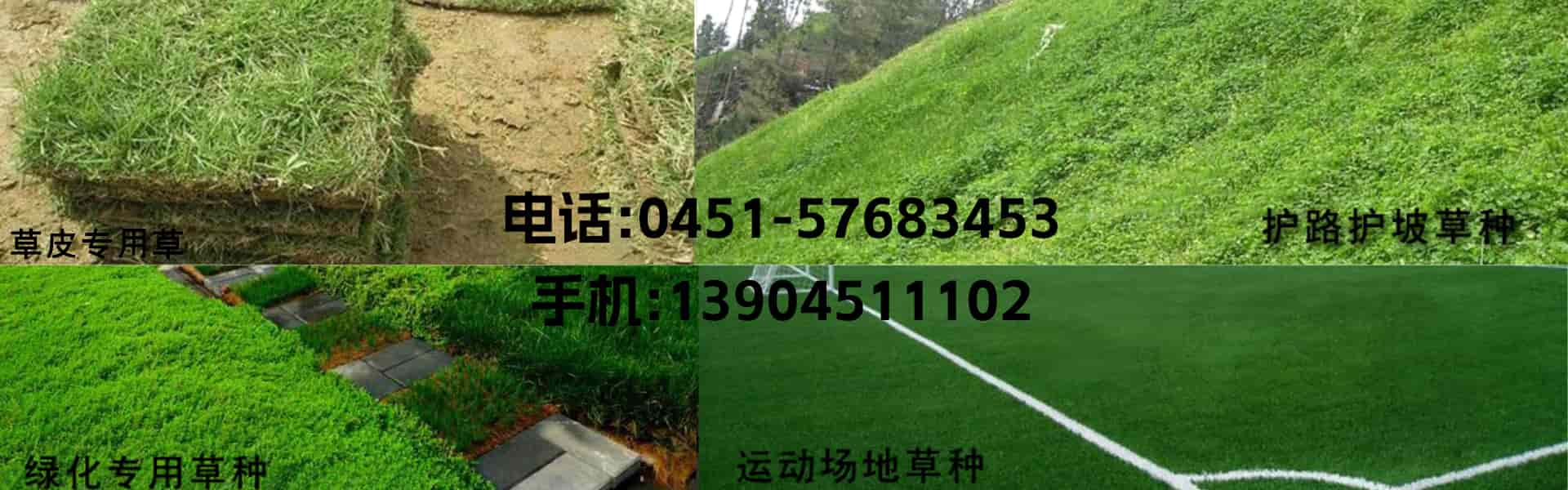 精品久久久久一区二区三区